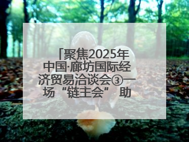 聚焦2025年中国·廊坊国际经济贸易洽谈会③一场“链主会” 助力厂商破圈发展