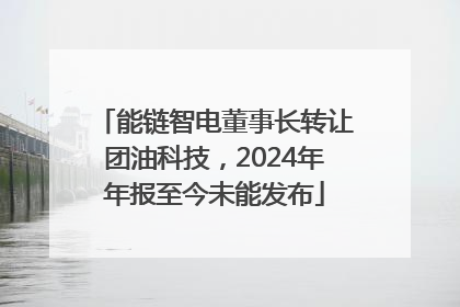 能链智电董事长转让团油科技，2024年年报至今未能发布