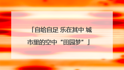 自给自足 乐在其中 城市里的空中“田园梦”