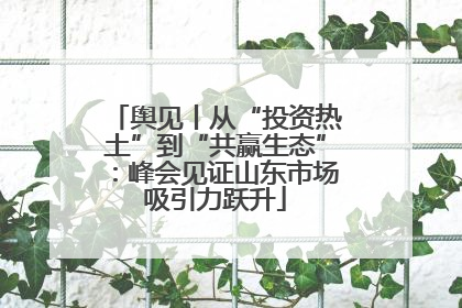 舆见丨从“投资热土”到“共赢生态”：峰会见证山东市场吸引力跃升