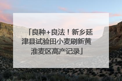 良种+良法！新乡延津县试验田小麦刷新黄淮麦区高产记录