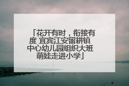 花开有时，衔接有度 宜宾江安留耕镇中心幼儿园组织大班萌娃走进小学
