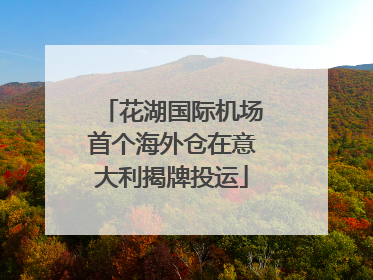 花湖国际机场首个海外仓在意大利揭牌投运