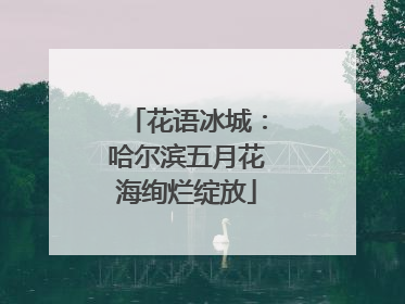 花语冰城：哈尔滨五月花海绚烂绽放