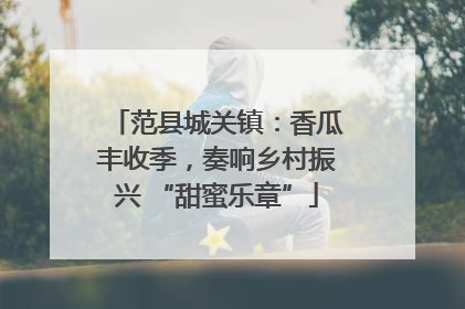 范县城关镇：香瓜丰收季，奏响乡村振兴 “甜蜜乐章”