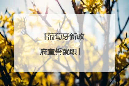 葡萄牙新政府宣誓就职