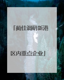蔺佳调研新港区内重点企业