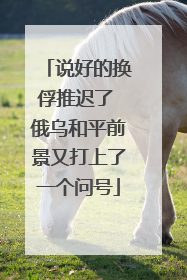 说好的换俘推迟了 俄乌和平前景又打上了一个问号