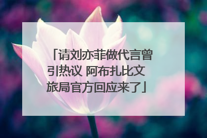 请刘亦菲做代言曾引热议 阿布扎比文旅局官方回应来了