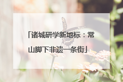 诸城研学新地标：常山脚下非遗一条街