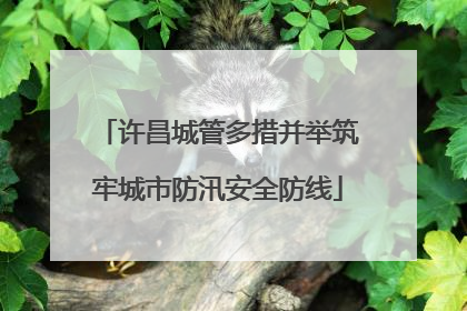 许昌城管多措并举筑牢城市防汛安全防线