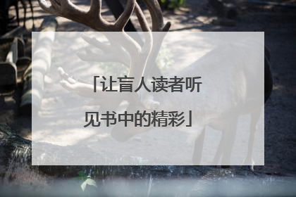 让盲人读者听见书中的精彩