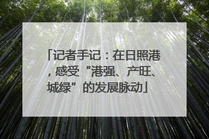 记者手记：在日照港，感受“港强、产旺、城绿”的发展脉动