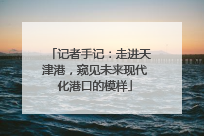 记者手记：走进天津港，窥见未来现代化港口的模样