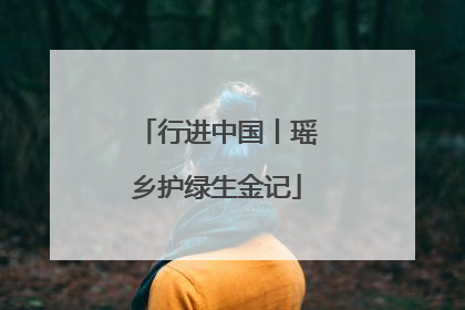 行进中国丨瑶乡护绿生金记