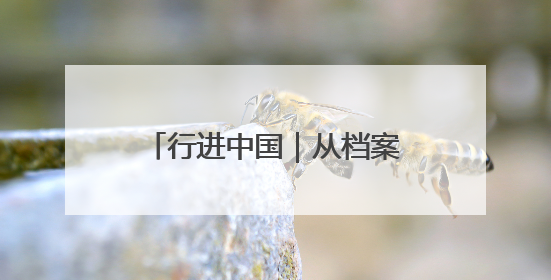 行进中国｜从档案到血脉的精神传承