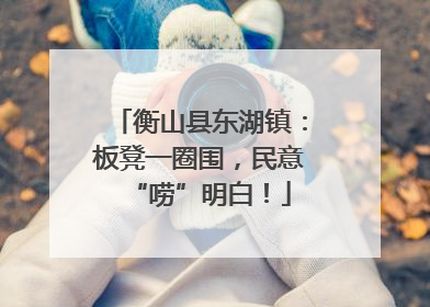 衡山县东湖镇：板凳一圈围，民意“唠”明白！