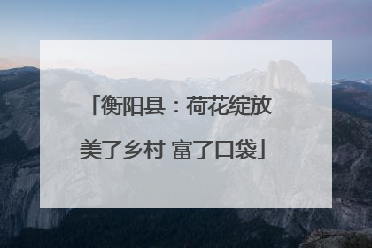 衡阳县：荷花绽放 美了乡村 富了口袋