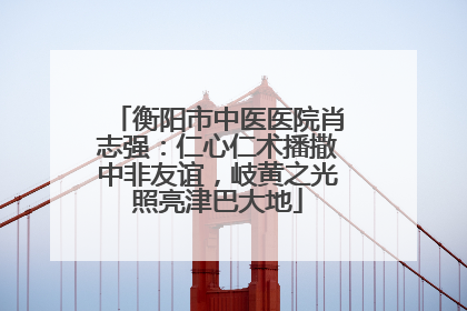 衡阳市中医医院肖志强：仁心仁术播撒中非友谊，岐黄之光照亮津巴大地