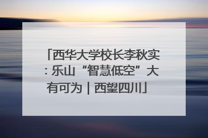 西华大学校长李秋实：乐山“智慧低空”大有可为｜西望四川