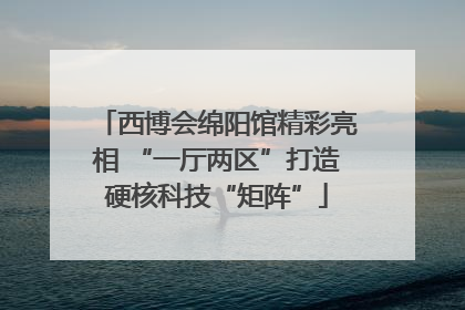 西博会绵阳馆精彩亮相 “一厅两区”打造硬核科技“矩阵”