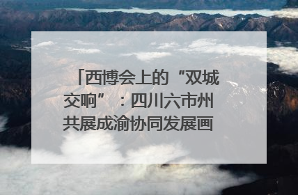 西博会上的“双城交响”：四川六市州共展成渝协同发展画卷｜西博视界