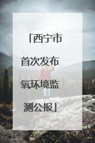 西宁市首次发布氧环境监测公报