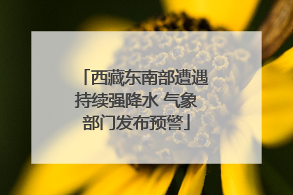 西藏东南部遭遇持续强降水 气象部门发布预警