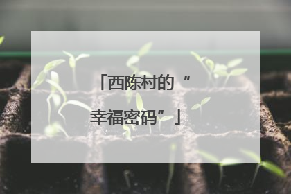 西陈村的“幸福密码”