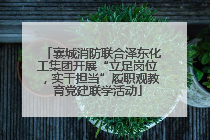 襄城消防联合泽东化工集团开展“立足岗位，实干担当”履职观教育党建联学活动