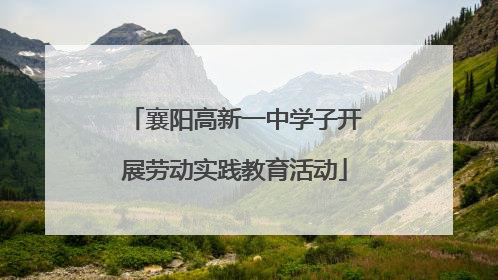 襄阳高新一中学子开展劳动实践教育活动
