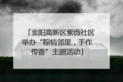 襄阳高新区紫薇社区举办“粽情邻里，手作传香”主题活动
