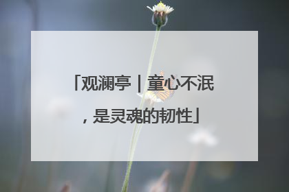 观澜亭｜童心不泯，是灵魂的韧性