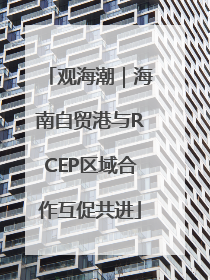观海潮｜海南自贸港与RCEP区域合作互促共进