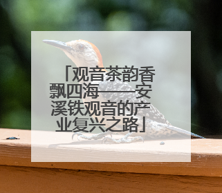 观音茶韵香飘四海——安溪铁观音的产业复兴之路