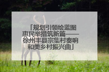 规划引领绘蓝图 惠民举措筑新篇——徐州丰县宗集村奏响和美乡村振兴曲