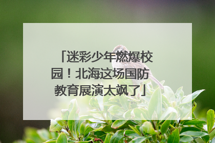 迷彩少年燃爆校园！北海这场国防教育展演太飒了