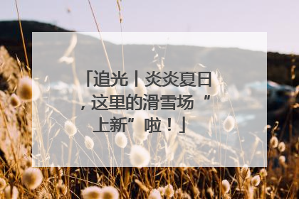 追光丨炎炎夏日，这里的滑雪场“上新”啦！