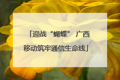 迎战“蝴蝶” 广西移动筑牢通信生命线