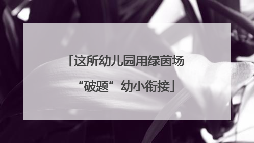 这所幼儿园用绿茵场“破题”幼小衔接