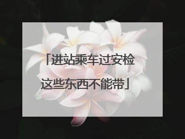 进站乘车过安检 这些东西不能带