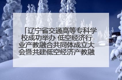 辽宁省交通高等专科学校成功举办 低空经济行业产教融合共同体成立大会暨共建低空经济产教融合新生态论坛