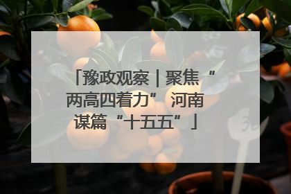 豫政观察｜聚焦“两高四着力” 河南谋篇“十五五”