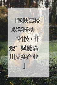 豫陕高校双擎联动 “科技+非遗”赋能潢川芡实产业