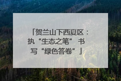 贺兰山下西夏区：执“生态之笔” 书写“绿色答卷”