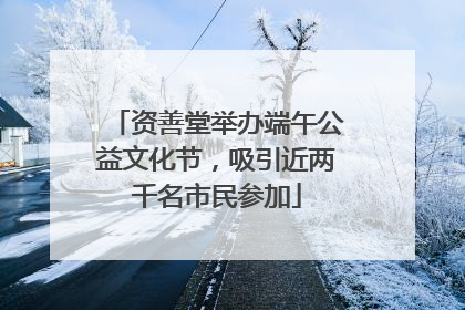 资善堂举办端午公益文化节，吸引近两千名市民参加