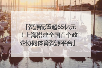 资源配置超65亿元！上海搭建全国首个政企协同体育资源平台