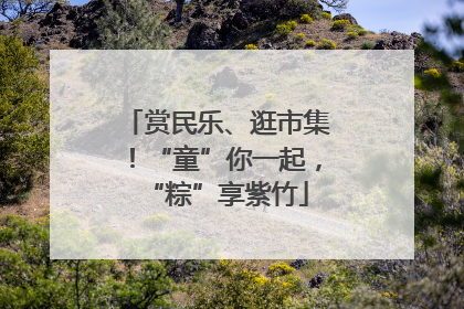赏民乐、逛市集！“童”你一起，“粽”享紫竹
