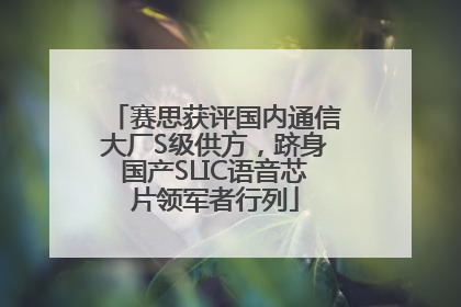 赛思获评国内通信大厂S级供方，跻身国产SLIC语音芯片领军者行列