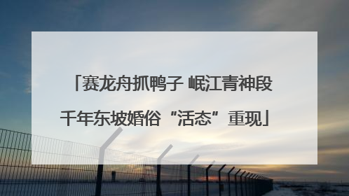 赛龙舟抓鸭子 岷江青神段千年东坡婚俗“活态”重现